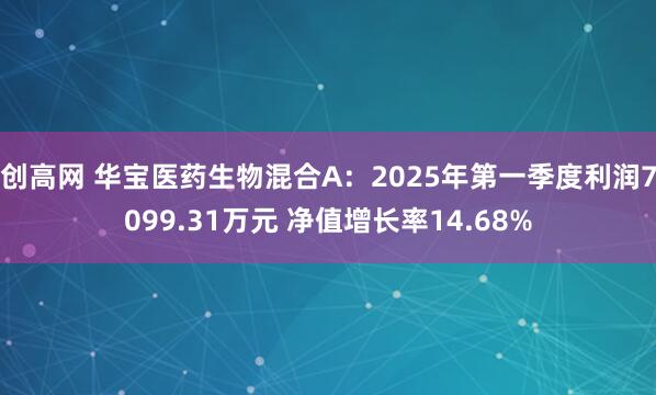 创高网 华宝医药生物混合A：2025年第一季度利润7099.31万元 净值增长率14.68%